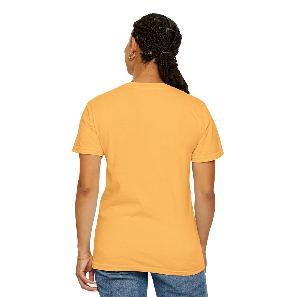 Houston Skyline Unisex Graphic Tee