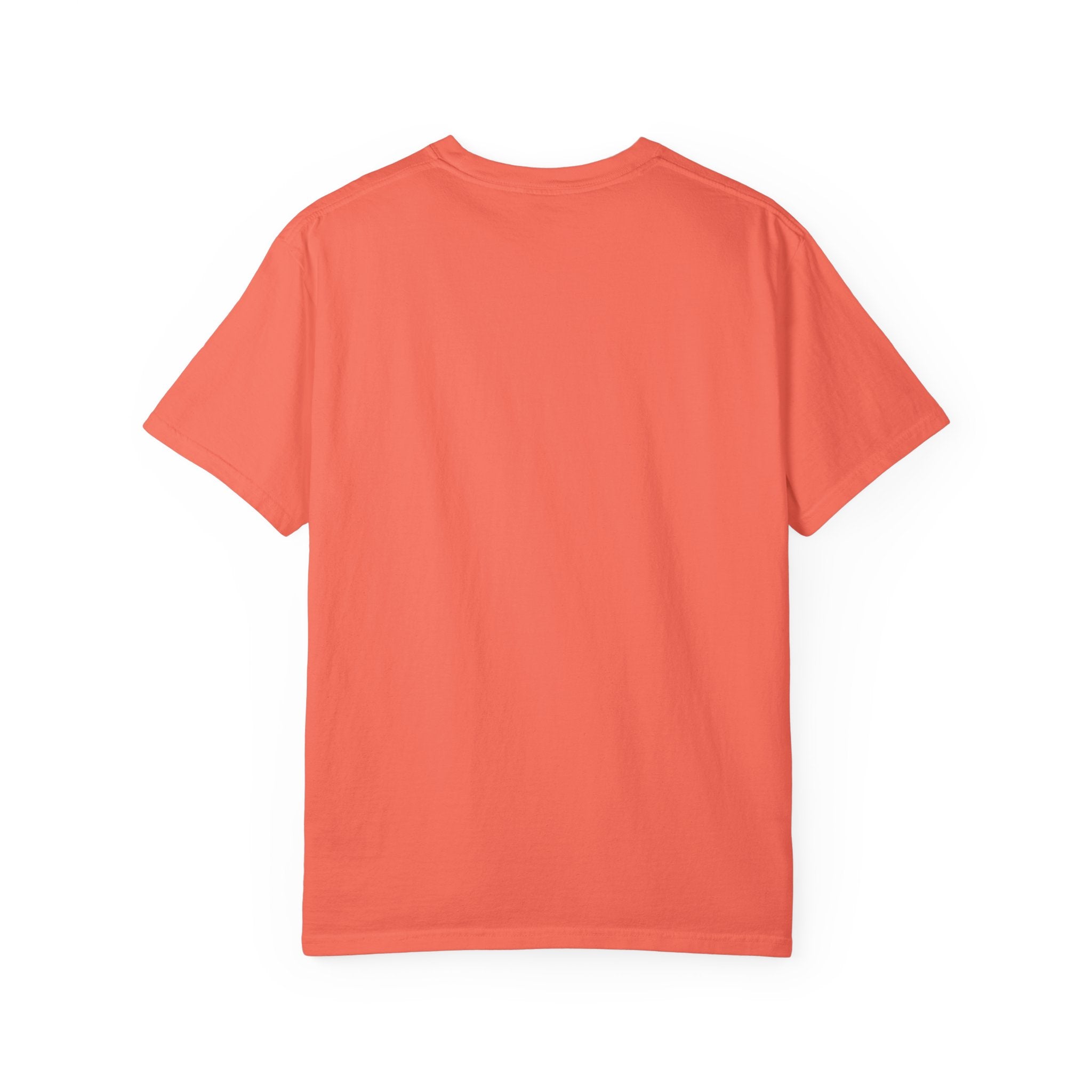 Houston Skyline Unisex Graphic Tee